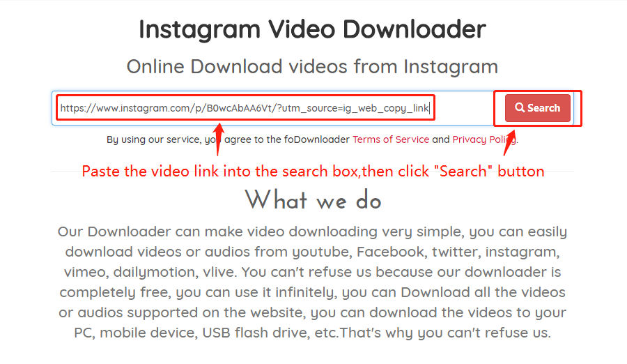 Download the Instagram Video Wizard, step 2